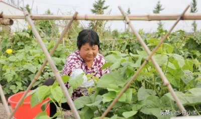 ​种地一年不如打工一个月，为什么还有人种地？是有原因的，啥原因